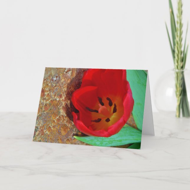 Spring yellow and Red Tulip Holiday Card (Front)