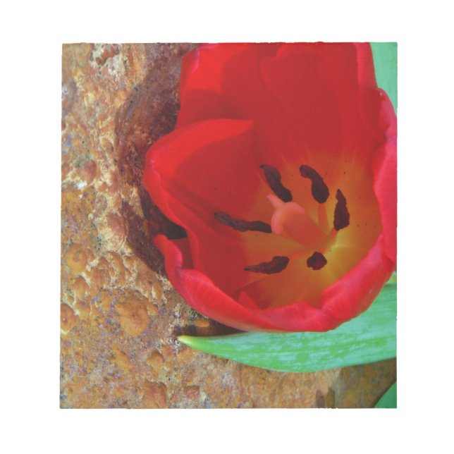 Spring yellow and Red Tulip Notepad (Front)