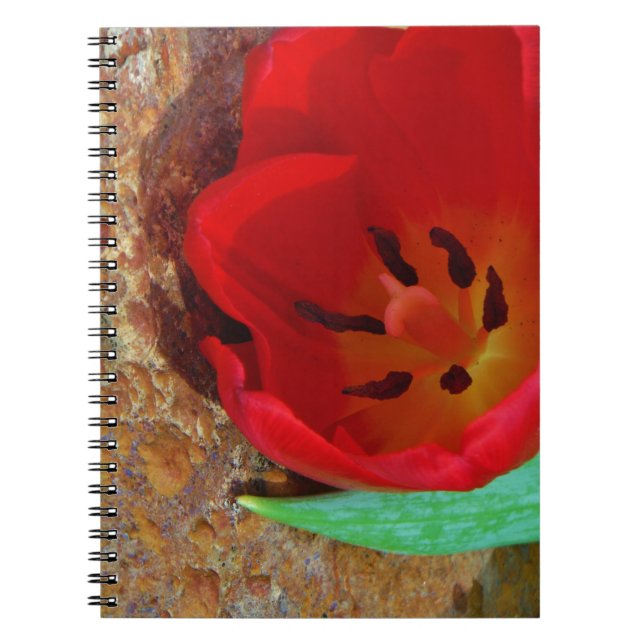 Spring yellow and Red Tulip Spiral Notebook (Front)
