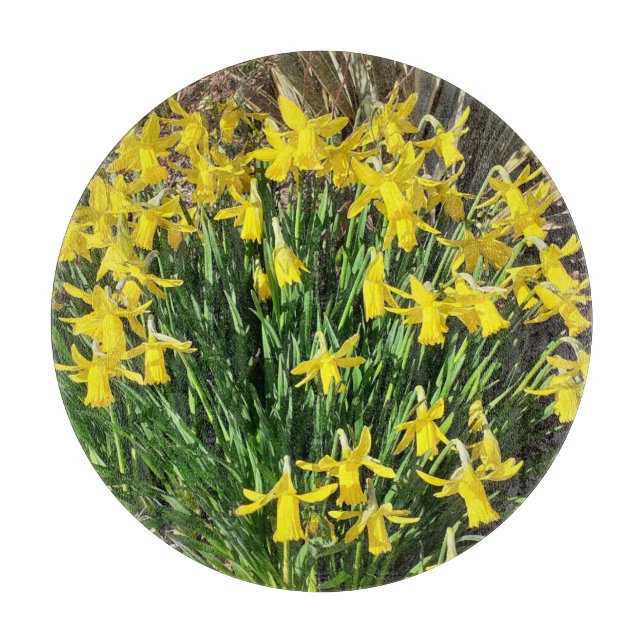 Spring Yellow Daffodils Cutting Board (Front)