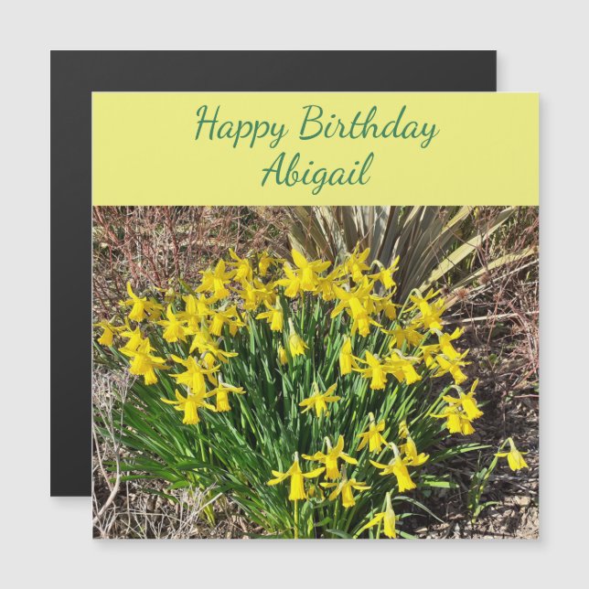 Spring Yellow Daffodils Magnetic Birthday Card (Front/Back)