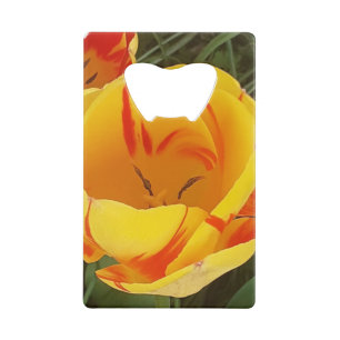 Spring Yellow Tulips Bottle Opener