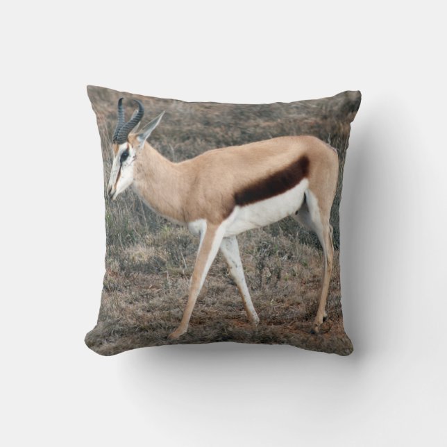 Springbok Cushion (Front)