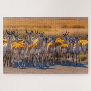 Springbok Herd Jigsaw Puzzle