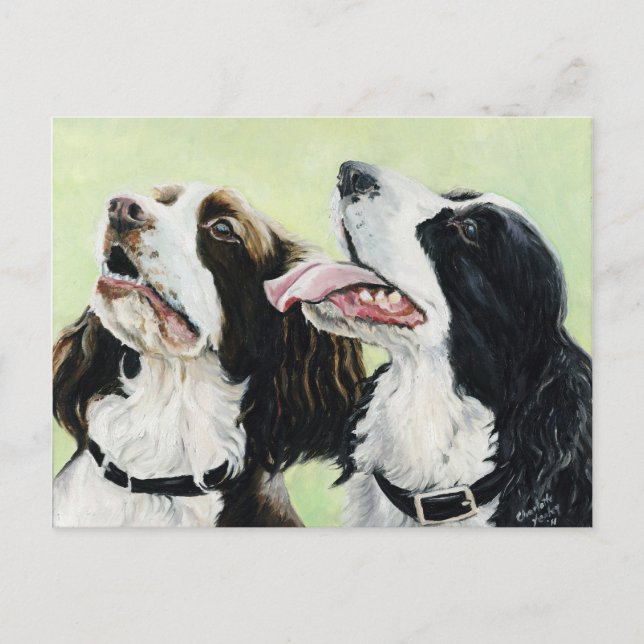 Springer Beggers Original Art Post Card (Front)