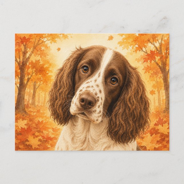 Springer Spaniel Autumn Forest Dog Postcard (Front)