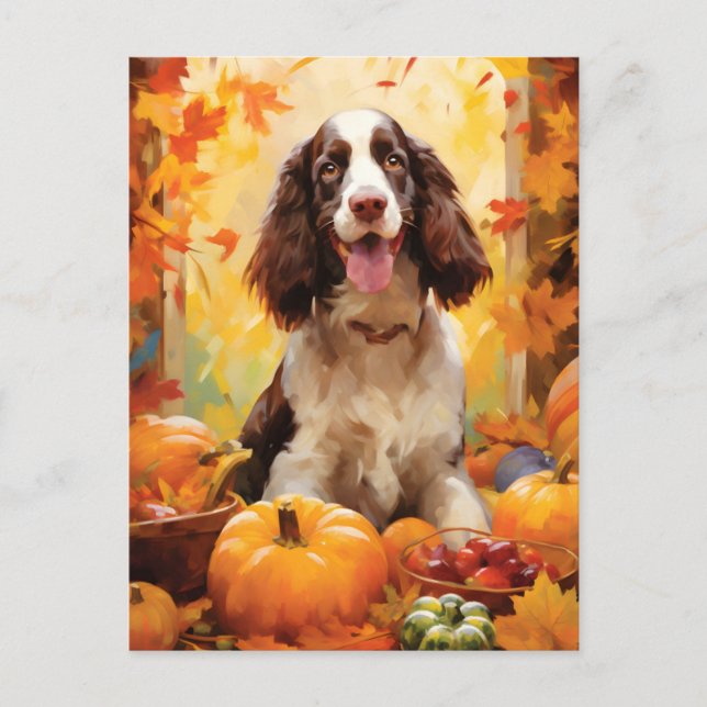 Springer Spaniel Autumn Thanksgiving  Postcard (Front)