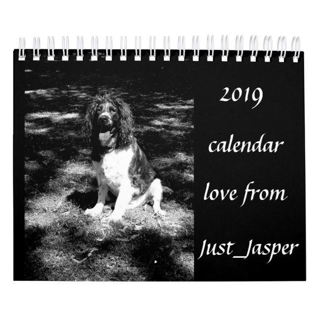 Springer spaniel calendar (Cover)