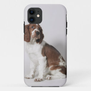 Springer spaniel Case-Mate iPhone case