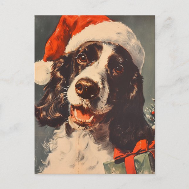 Springer Spaniel Christmas  Postcard (Front)