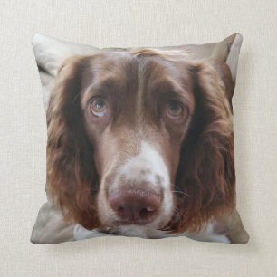 Springer spaniel cushion/springerface cushion