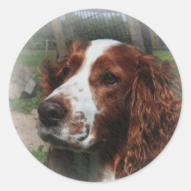 Springer Spaniel Dog Art Classic Round Sticker (Front)