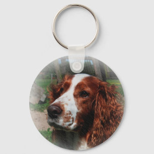 Springer Spaniel Dog Art Key Ring