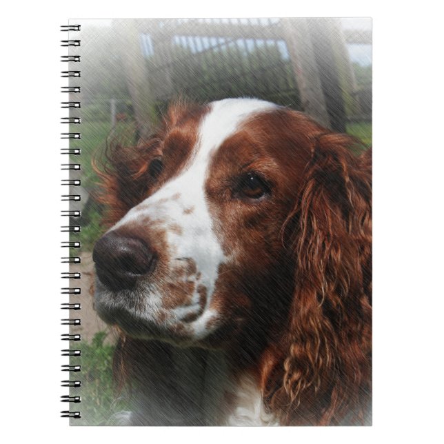 Springer Spaniel Dog Art Spiral Notebook (Front)