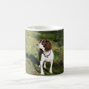 Springer Spaniel Dog  Mug