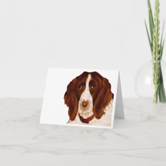 Springer Spaniel Father's Day Card (Front)