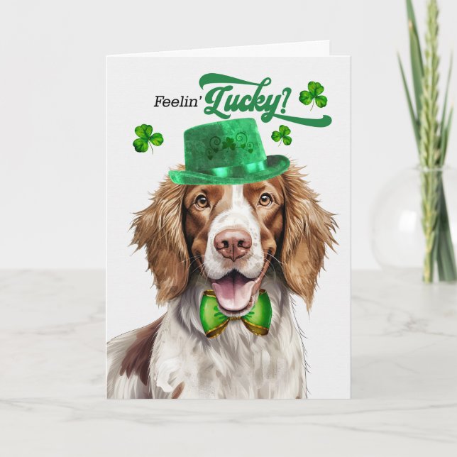 Springer Spaniel Feelin' Lucky St Patrick's Day Holiday Card (Front)
