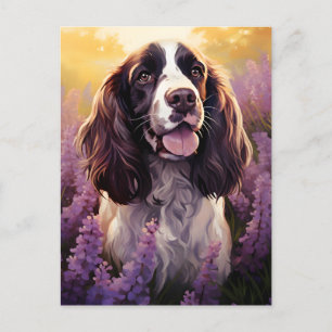 Springer Spaniel in Lavender field Postcard