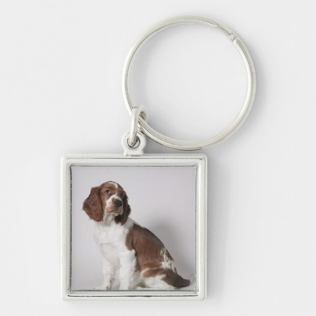 Springer spaniel key ring (Front)