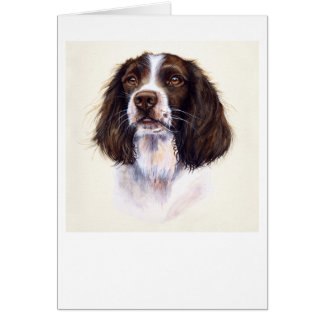 Springer Spaniel Painted in Watercolour