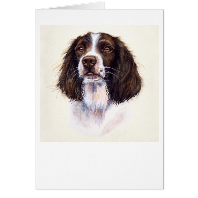 Springer Spaniel Painted in Watercolour (Front)