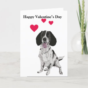Springer Spaniel Portrait Valentine’s Day Holiday Card