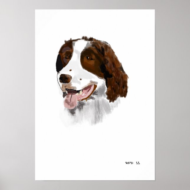 Springer Spaniel poster (Front)