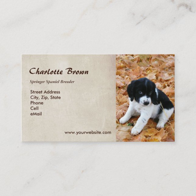 Springer Spaniel Puppy Business Card (Front)