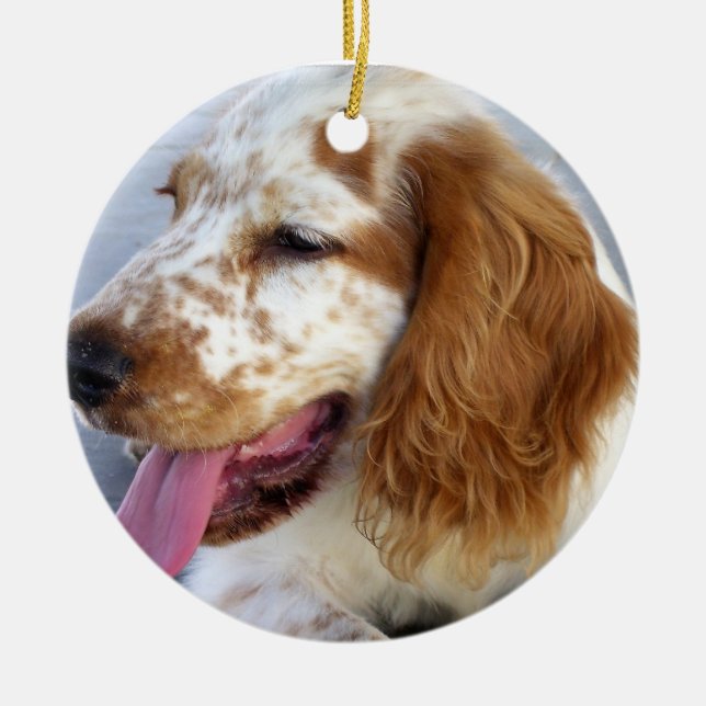 Springer Spaniel Puppy Ornament (Front)