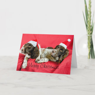 Springers Holiday Card