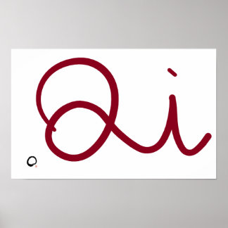 Springkicks Qi Poster