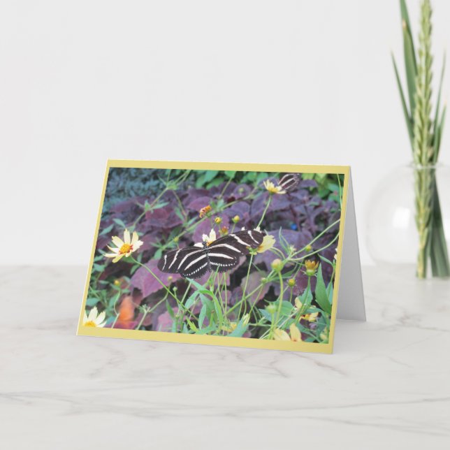 Spring's Beauty Card (Front)
