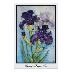 Spring's Purple Iris Poster
