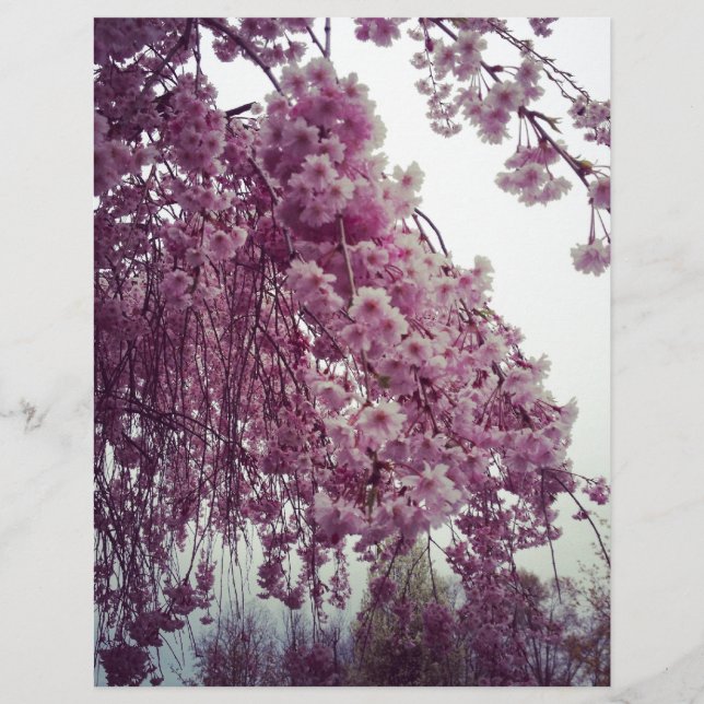 Springtime (Front)
