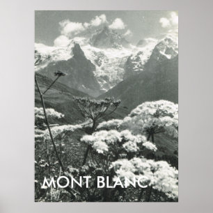 Springtime and snow, Mont Blanc, France Poster