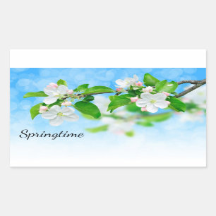 Springtime (apple flowers) rectangular sticker