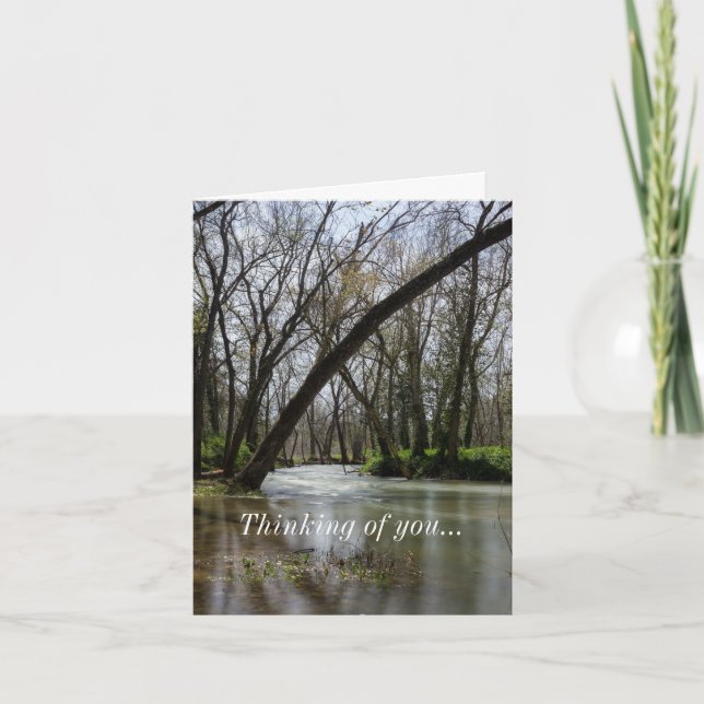 Springtime At Finley Thinking Of You Card (Front)