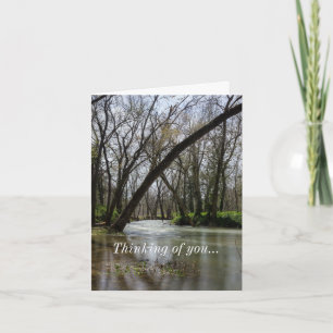 Springtime At Finley Thinking Of You Card