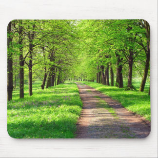 springtime avenue mousepad