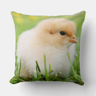 Springtime Baby Chick Cushion
