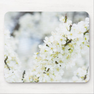Springtime blooming mouse pad