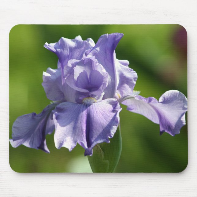 "Springtime Blues" Iris Photography Mouse Pad (Front)