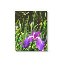 springtime canvas