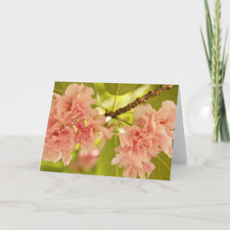 Springtime Card