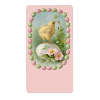 Springtime Chick with Pastel Egg Border