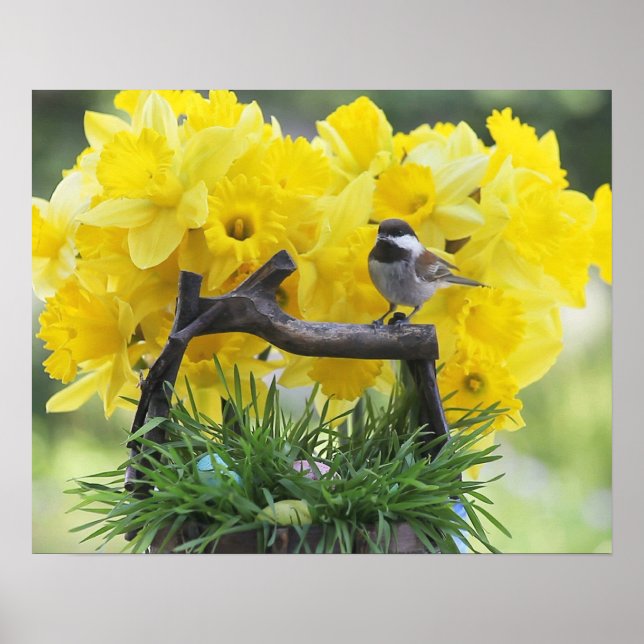 Springtime chickadee poster (Front)