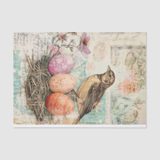 Springtime Delight: Bird and Eggs for Easter Tissue Paper