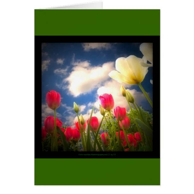 Springtime Flowers Collection I (Front)