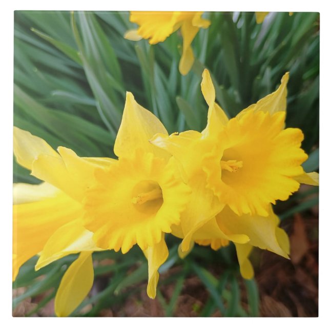 Springtime Flowers Tile (Front)