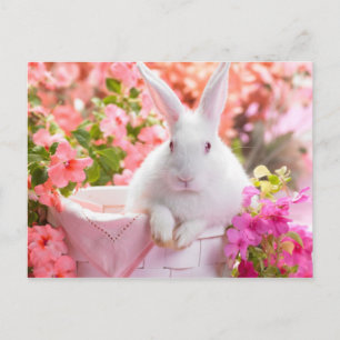 Springtime Hare Postcard